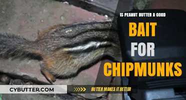 Peanut Butter as Chipmunk Bait: Effective or Overrated?