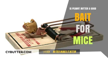 Peanut Butter as Mouse Bait: Effective Trapping Tips and Insights