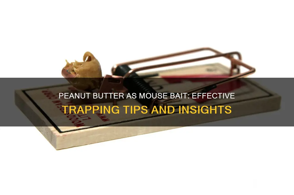 is peanut butter a good bait for mice