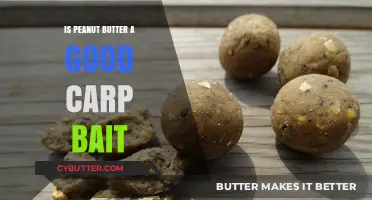 Peanut Butter as Carp Bait: Effective or Overrated?