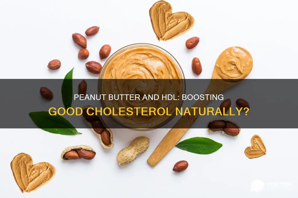 is peanut butter a good source of hdl