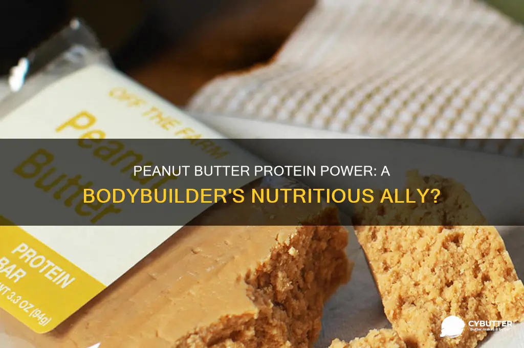 is peanut butter a good source of protein bodybuilding