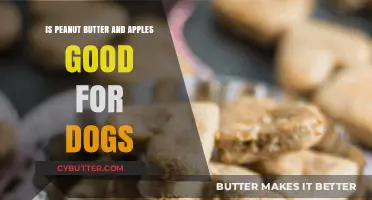 Peanut Butter and Apples: A Healthy Dog Snack or Risk?