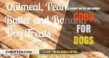 Peanut Butter and Banana: A Healthy Dog Treat or Risk?
