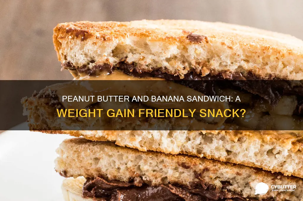 is peanut butter and banana sandwich good for weight gain