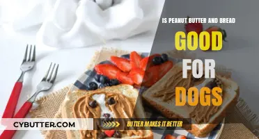 Peanut Butter and Bread for Dogs: Safe or Risky Snack?