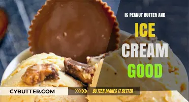 Peanut Butter and Ice Cream: A Delicious Match or Odd Pair?