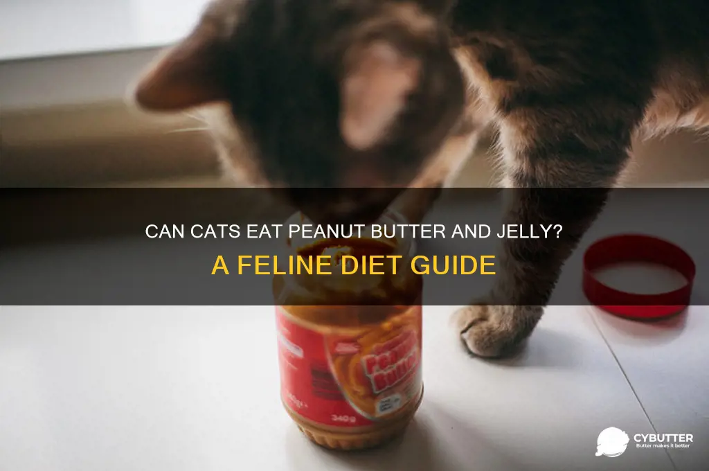 is peanut butter and jelly good for cats