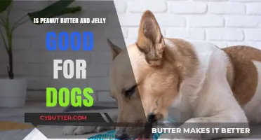 Can Dogs Eat Peanut Butter and Jelly? A Vet's Advice