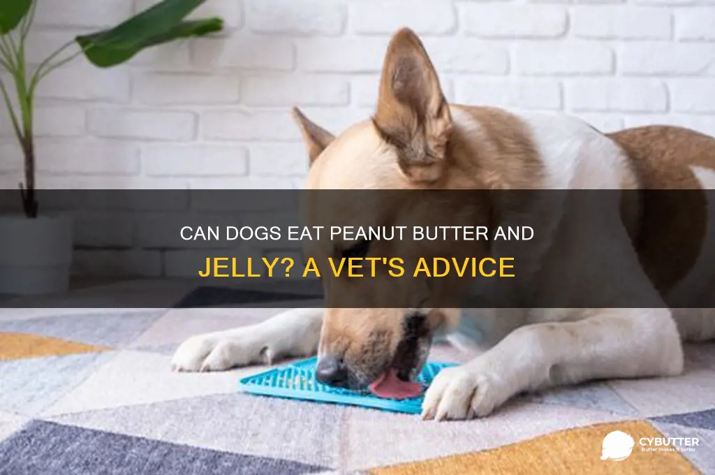 is peanut butter and jelly good for dogs