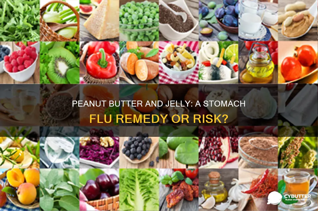 is peanut butter and jelly good for stomach flu