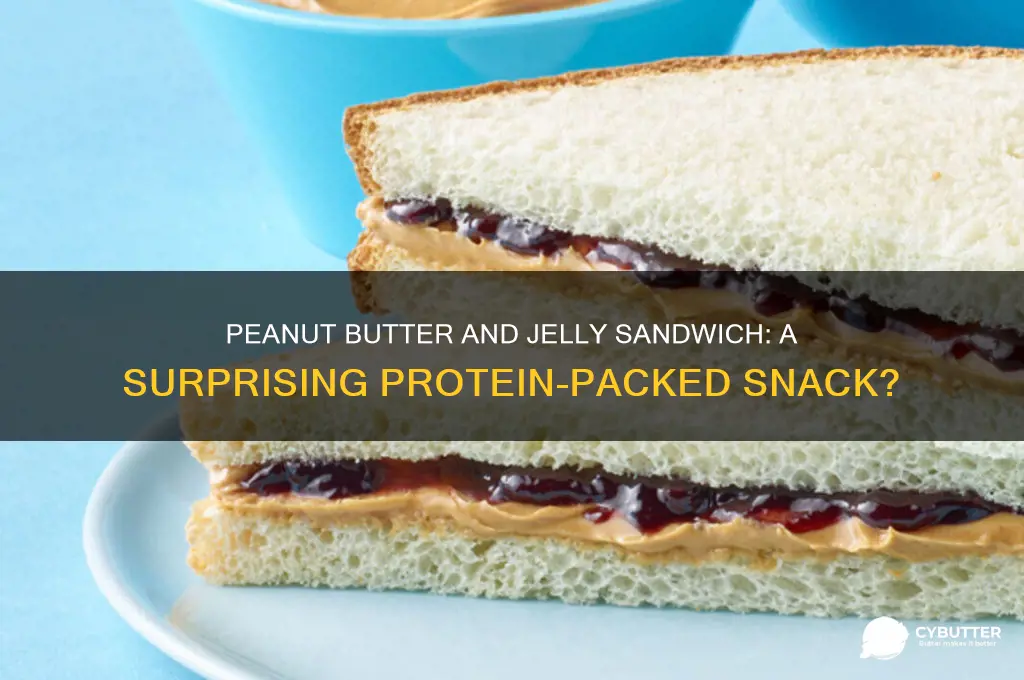 is peanut butter and jelly sandwich good protein