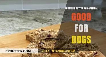 Peanut Butter and Oatmeal: A Healthy Dog Treat or Not?