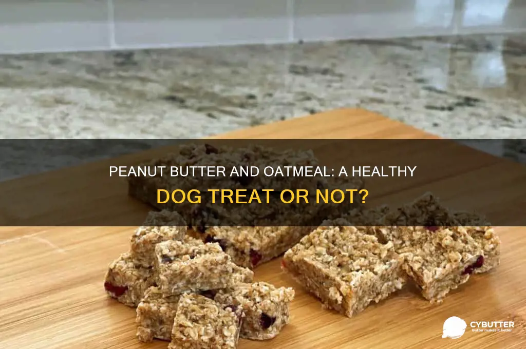 is peanut butter and oatmeal good for dogs