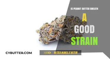 Peanut Butter Breath Strain Review: Effects, Benefits, and Growing Tips