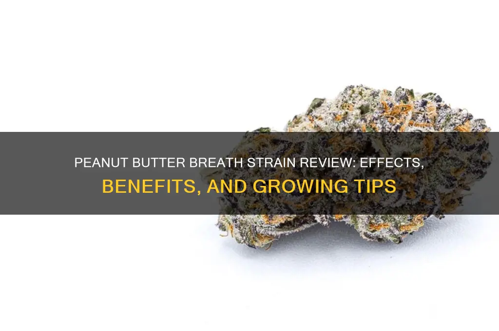is peanut butter breath a good strain