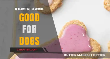 Can Dogs Eat Peanut Butter Cookies? A Safe Treat Guide