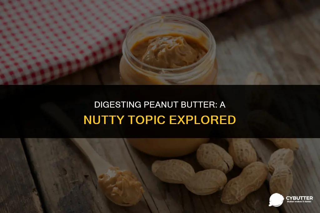 is peanut butter easy to digest