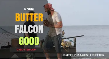 Is 'The Peanut Butter Falcon' a Must-Watch Feel-Good Movie?