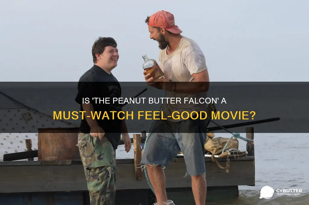 is peanut butter falcon good
