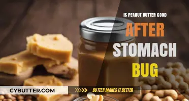 Peanut Butter Post-Stomach Bug: Safe Recovery Food or Risky Choice?