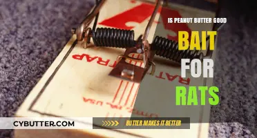 Peanut Butter as Rat Bait: Effective Trapping Tips and Insights