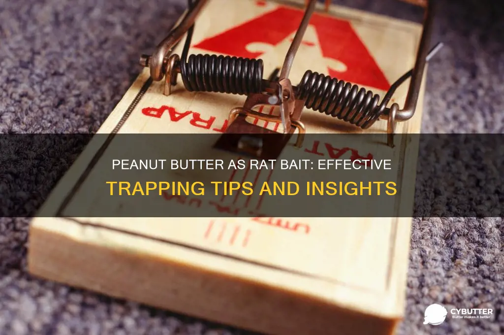 is peanut butter good bait for rats