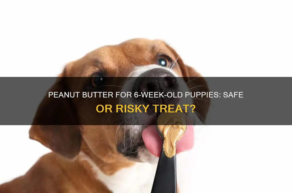 is peanut butter good for 6 weeks old puppies