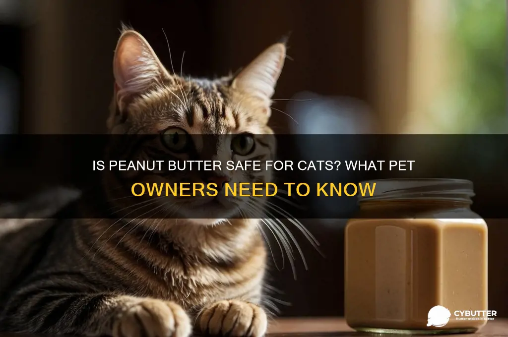 is peanut butter good for a cat