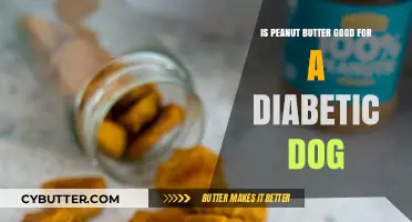 Peanut Butter for Diabetic Dogs: Safe Snack or Risky Treat?
