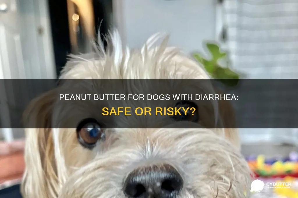 is peanut butter good for a dog with diarrhea