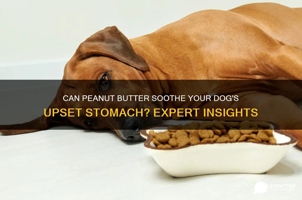 is peanut butter good for a dog