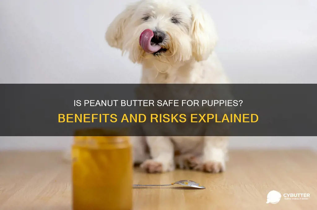is peanut butter good for a puppy