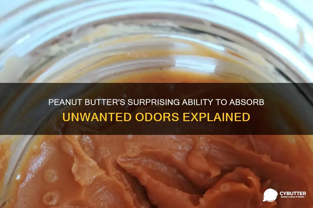 is peanut butter good for absorbing smells