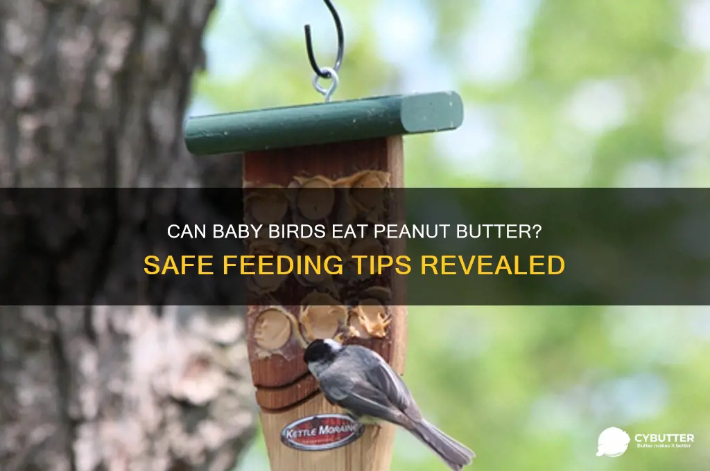 is peanut butter good for baby birds