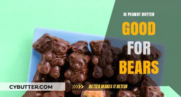 Peanut Butter for Bears: Nutritional Benefits or Risky Treat?