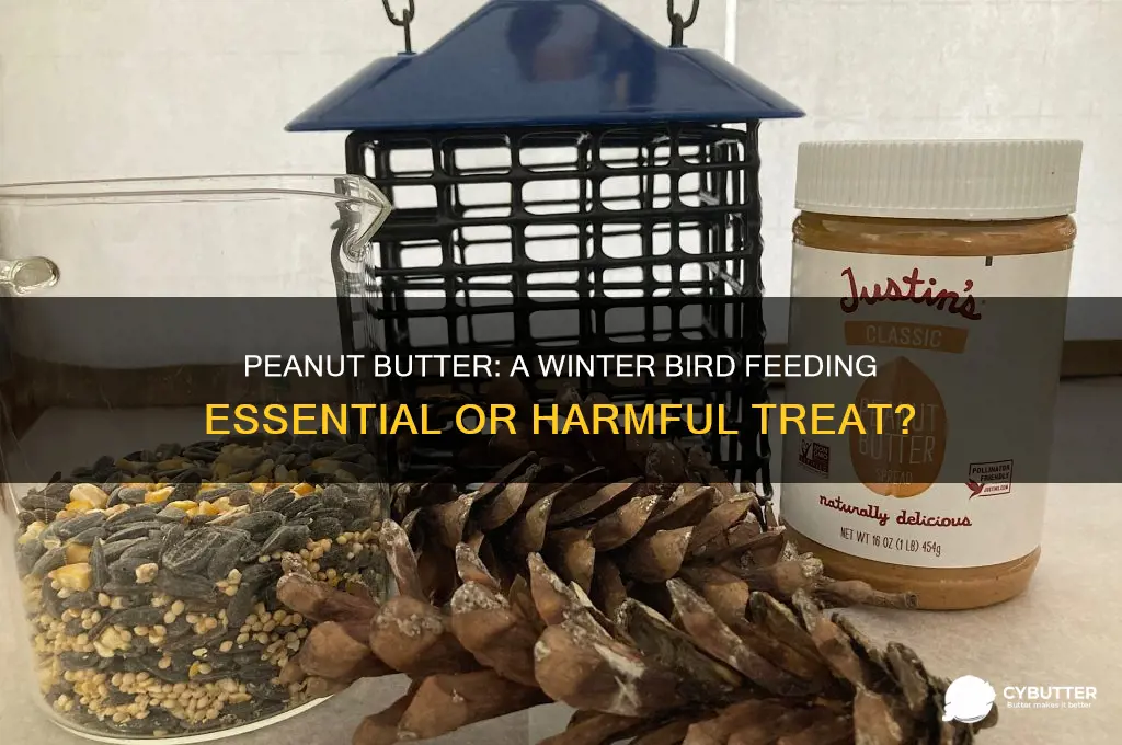 is peanut butter good for birds in winter