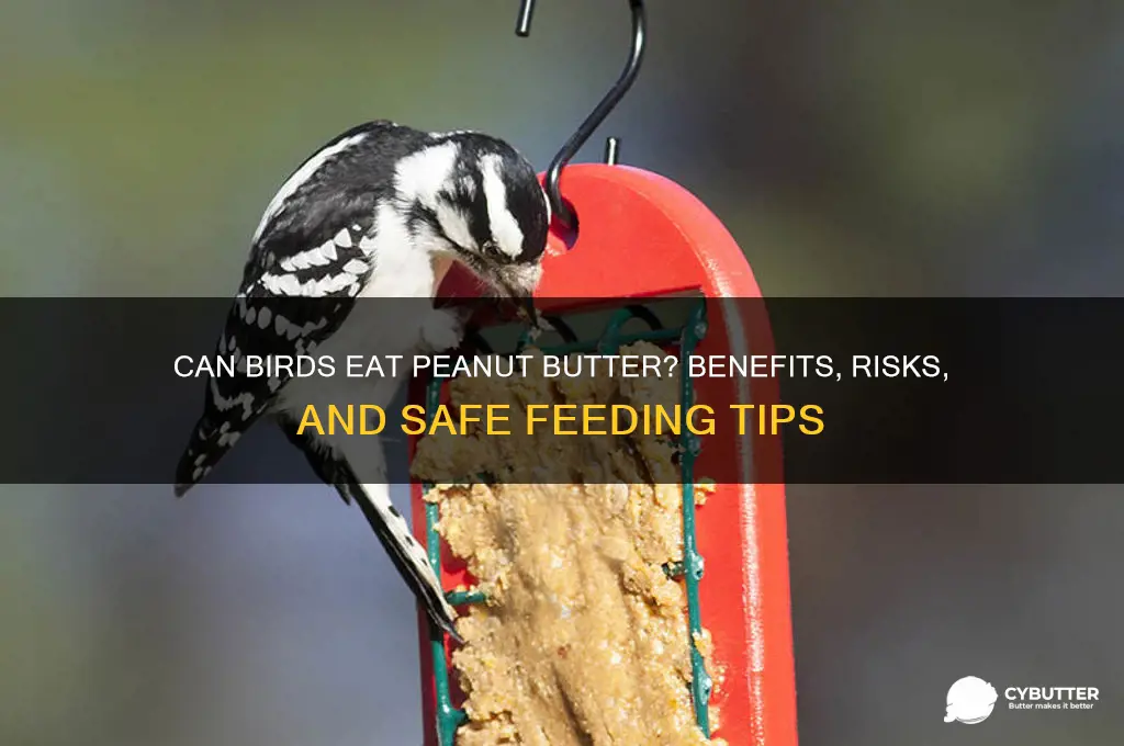 is peanut butter good for birds
