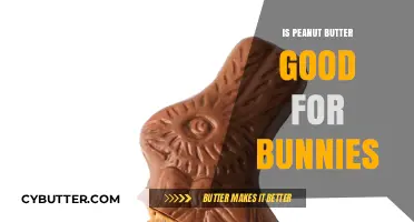 Can Bunnies Eat Peanut Butter? Health Risks and Safe Treats