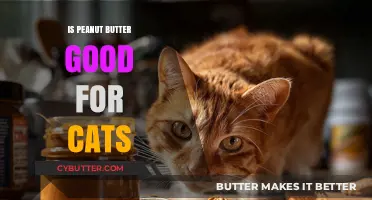 Can Cats Eat Peanut Butter? Safety and Nutritional Insights