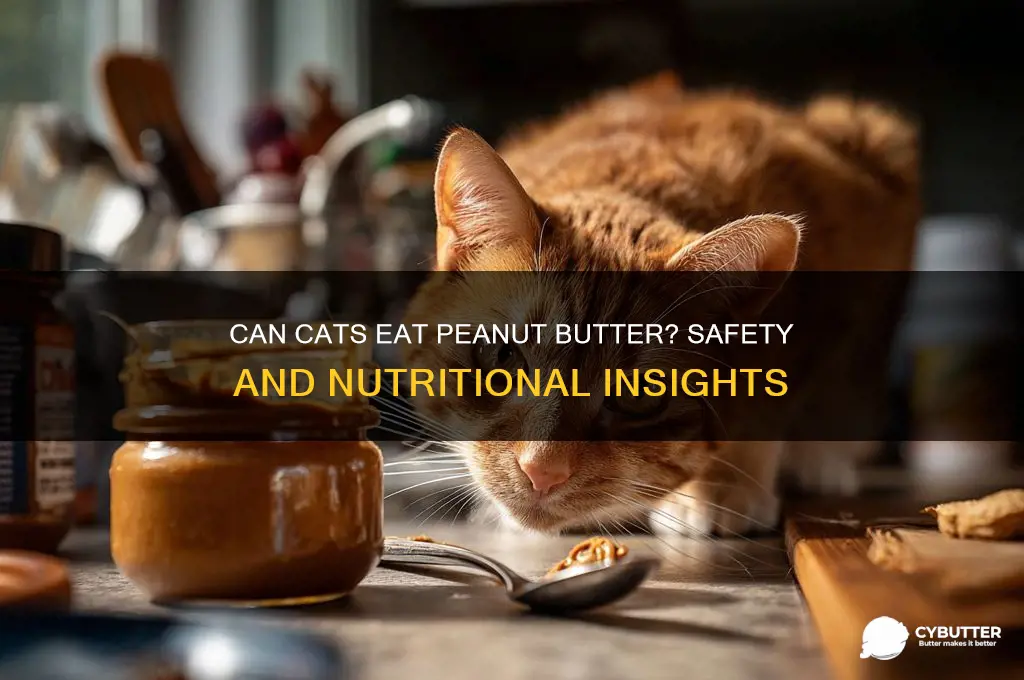 is peanut butter good for cats