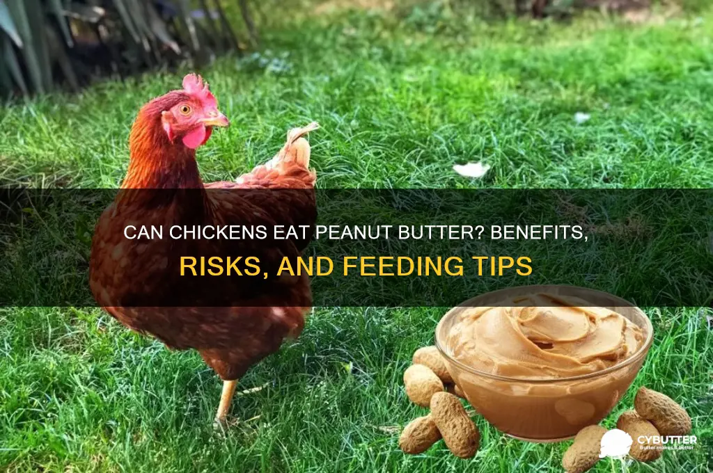is peanut butter good for chickens