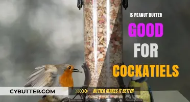 Can Cockatiels Eat Peanut Butter? Nutritional Benefits and Risks Explained