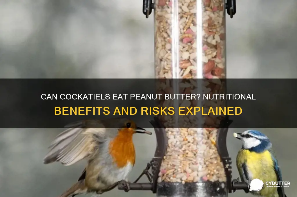 is peanut butter good for cockatiels