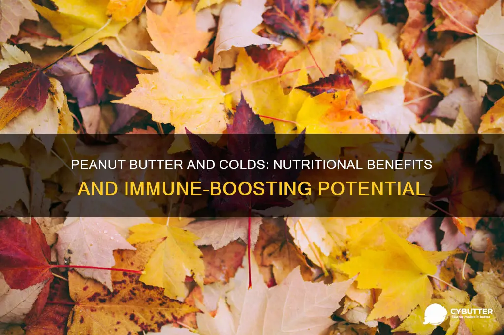 is peanut butter good for colds