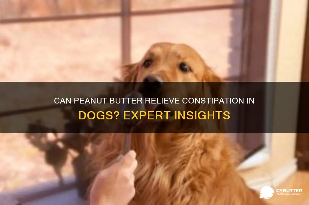 is peanut butter good for constipation in dogs