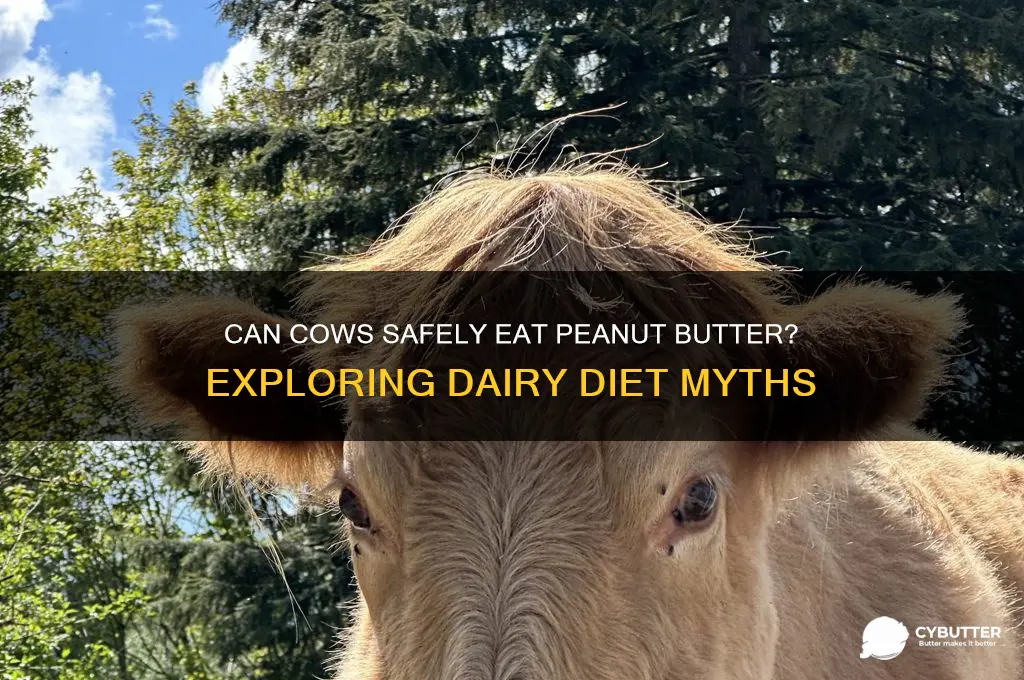 is peanut butter good for cows