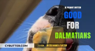 Is Peanut Butter Safe for Dalmatians? A Nutritional Guide