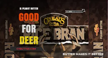 Peanut Butter for Deer: Benefits, Risks, and Feeding Tips