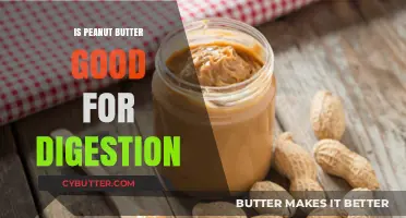 Peanut Butter and Digestion: Benefits, Myths, and Healthy Gut Tips